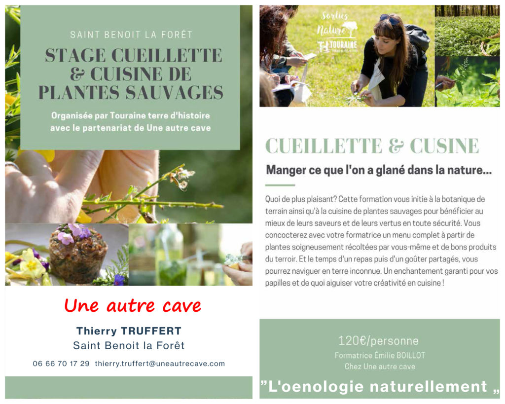 stage ceuillette cuisine et vin une autre cave